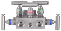 PGI Int'l Five-Valve Manifold